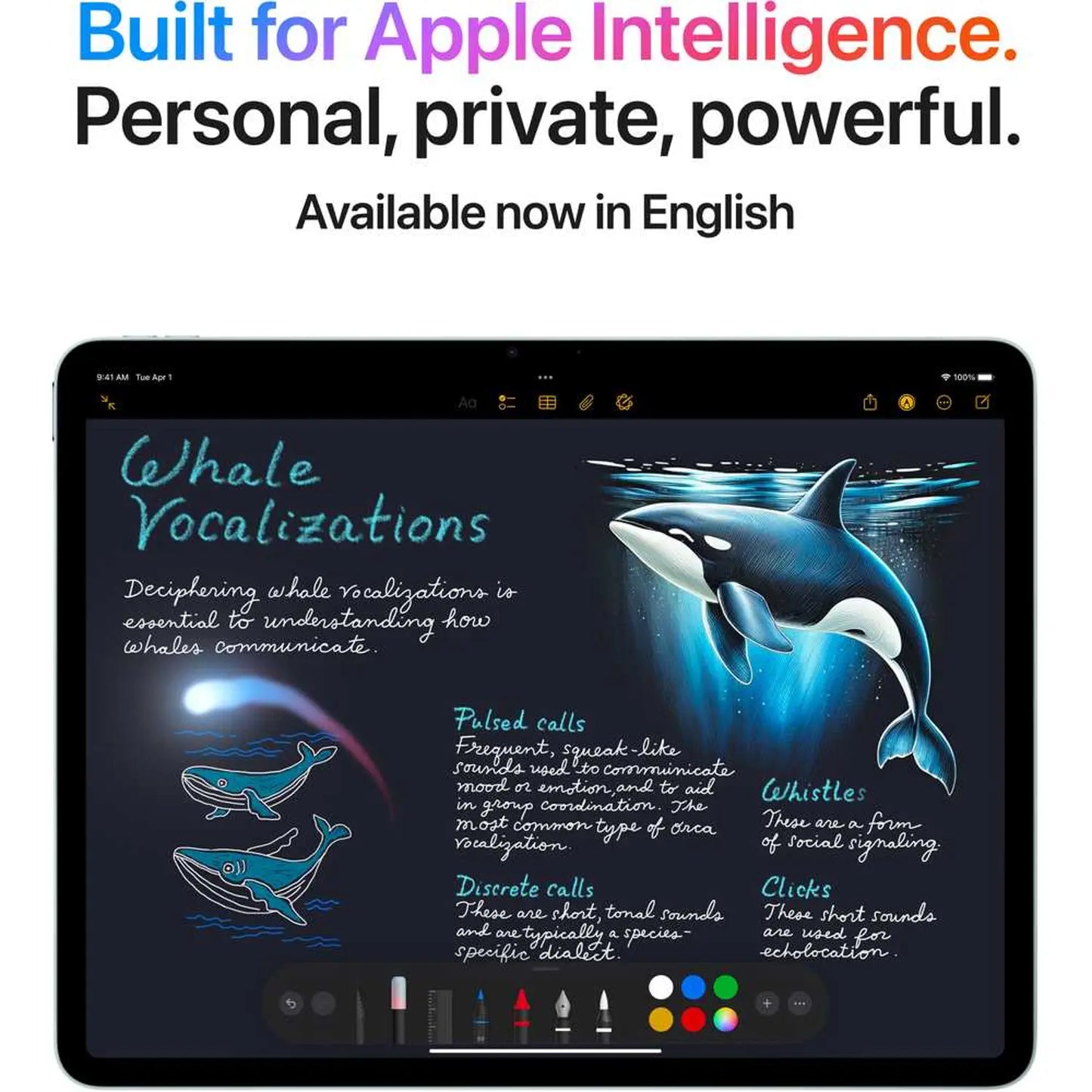 Apple 13-inch iPad Air M3 (2025) Wi-Fi 256GB - With Caver and Pencil